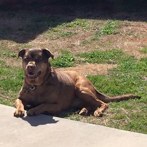 Meet your Posher, Desiree